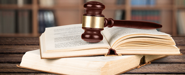 maria rogers attorney